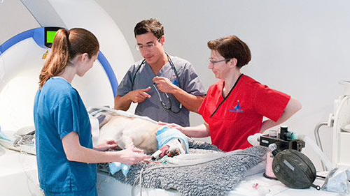 heart stroke specialist in guntur