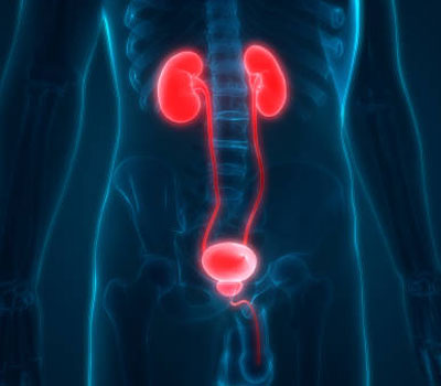 best heart hospital in Guntur, best cardiac hospitals in Guntur, Cardiac check-ups in Guntur, cardiothoracic surgery in Guntur, Cardiology hospital in Guntur 