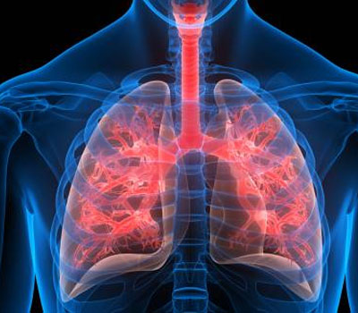 best heart hospital in Guntur, best cardiac hospitals in Guntur, Cardiac check-ups in Guntur, cardiothoracic surgery in Guntur, Cardiology hospital in Guntur 